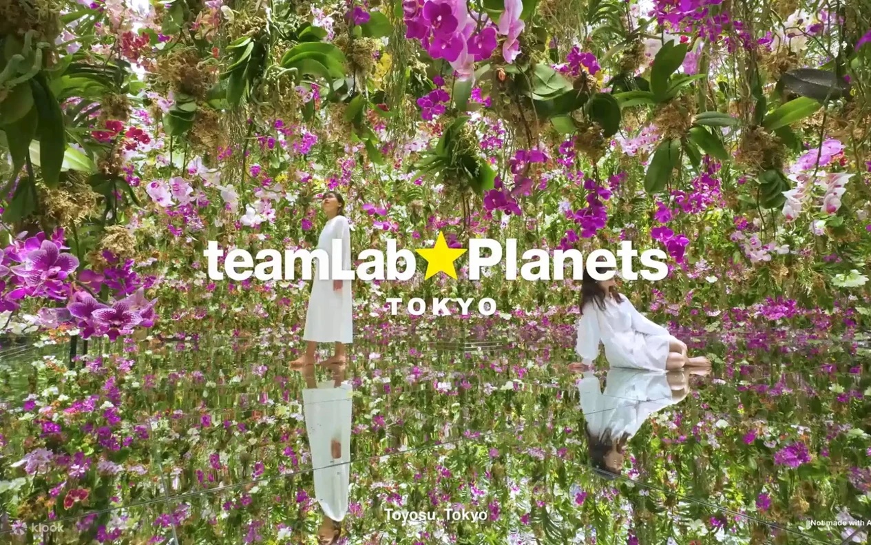 Immersive installation at teamLab Planets